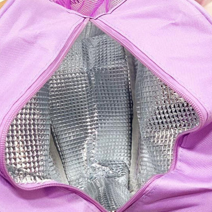 Sanrio Lunch Bag Tote Portable Insulated Lunch Tote for School Kids