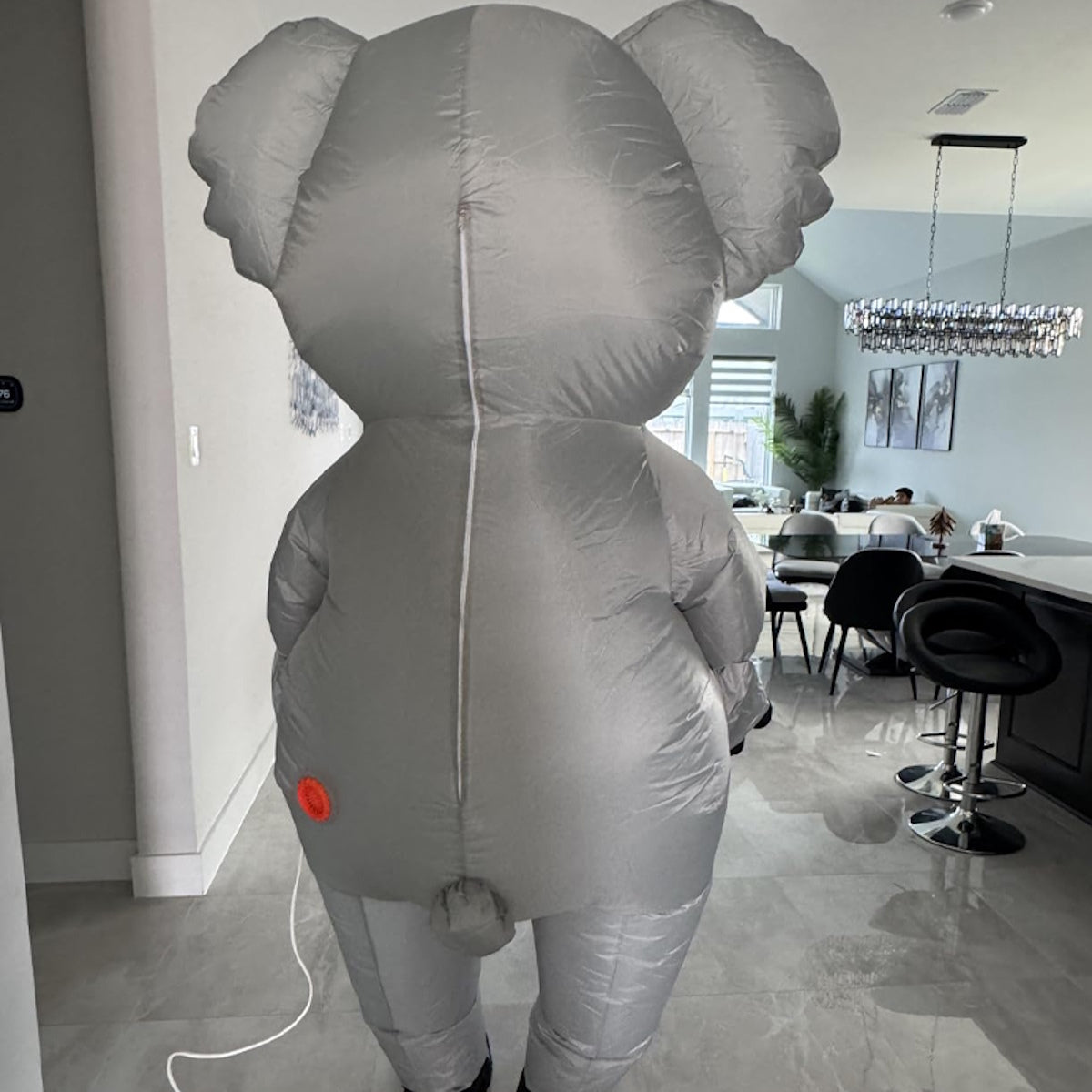 Teens and Adults Inflatable Koala Costumes Blowup Animal Costumes - ChildAngle
