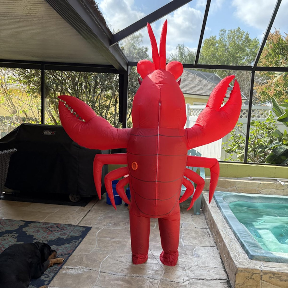 Teens and Adults Inflatable Lobster Costumes Blowup Animal Costumes - ChildAngle