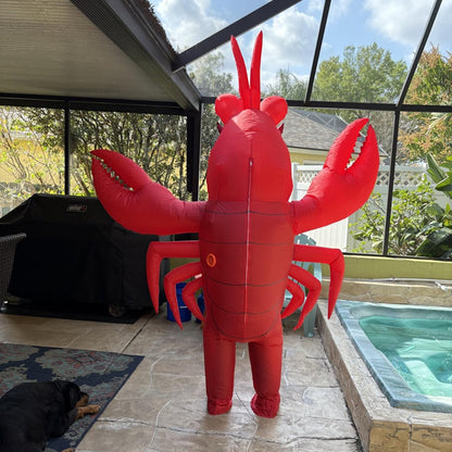 Teens and Adults Inflatable Lobster Costumes Blowup Animal Costumes - ChildAngle