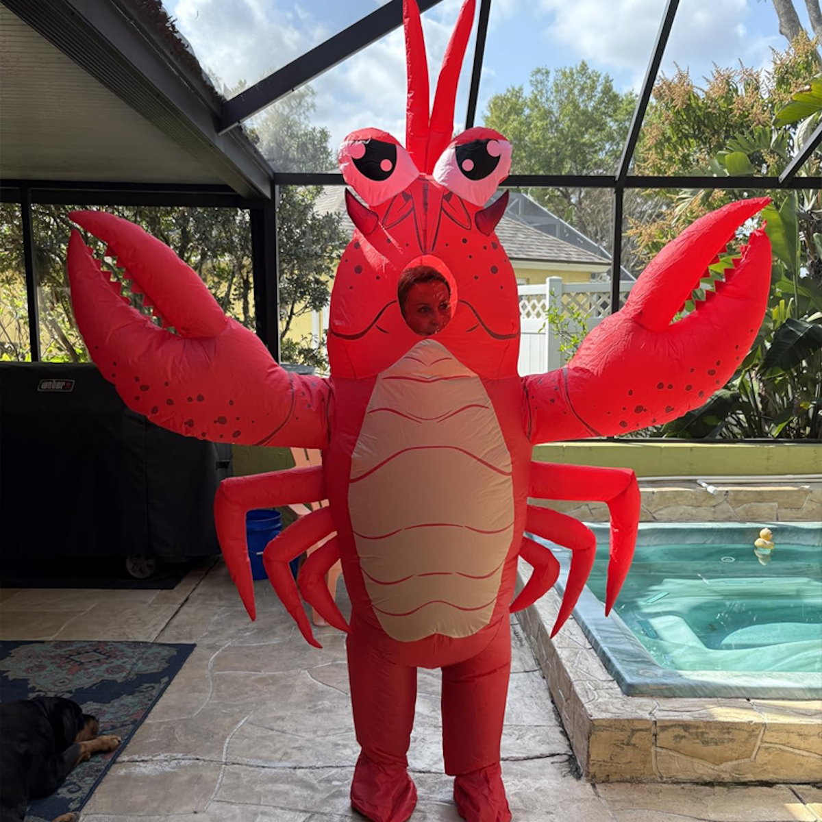 Teens and Adults Inflatable Lobster Costumes Blowup Animal Costumes - ChildAngle