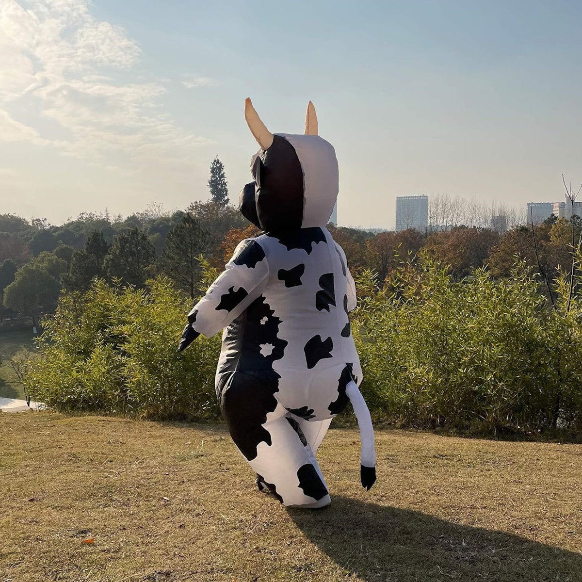 Teens and Adults Inflatable Cow Costume Riding Cow Suit - ChildAngle