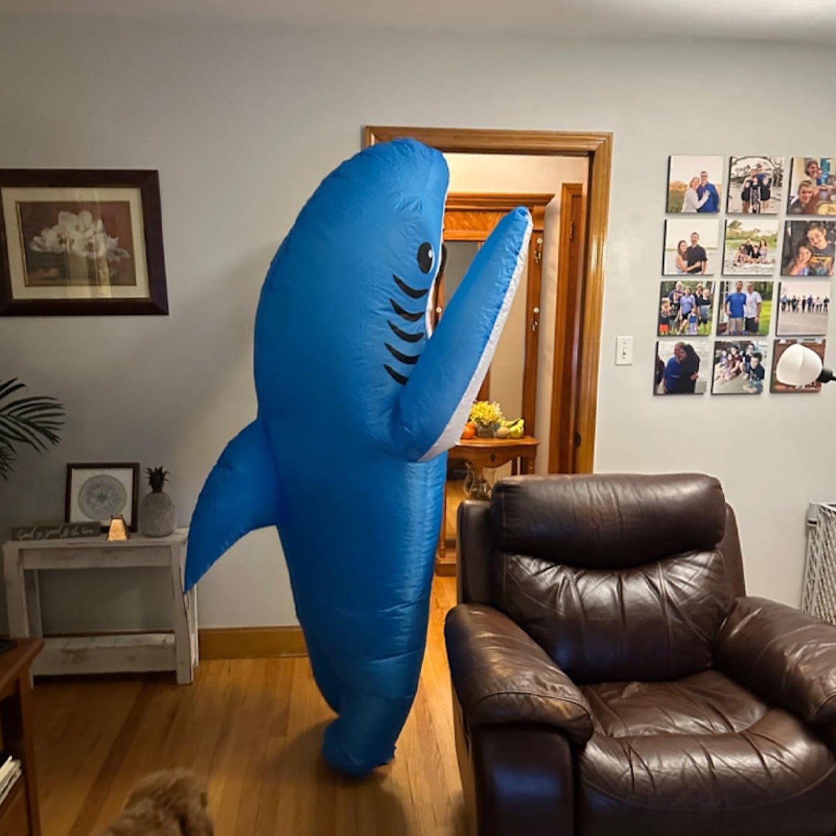 Teens and Adults Inflatable Shark Costumes - ChildAngle