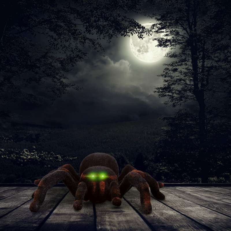RC Spider Halloween April Fool's Day Simulation Plush Tarantula Remote Control Soft Prank Toys - ChildAngle
